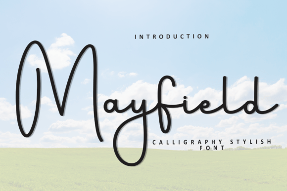 Mayfield: A Font Blending Softness with Distinctive Character