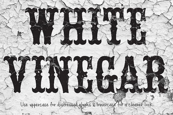 The Primal Alchemy of White Vinegar in the Modern Age